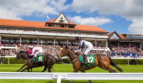 chester races betting